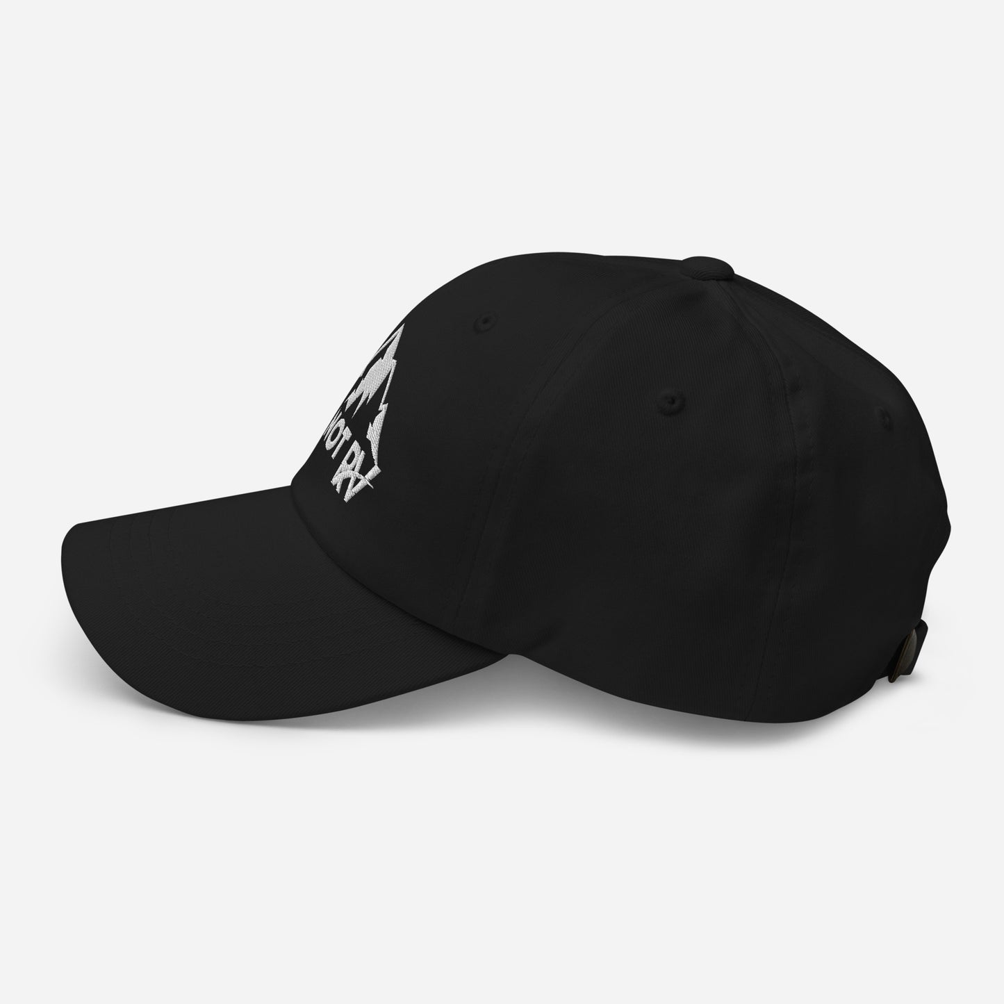 Why Not RV no logo white Dad hat