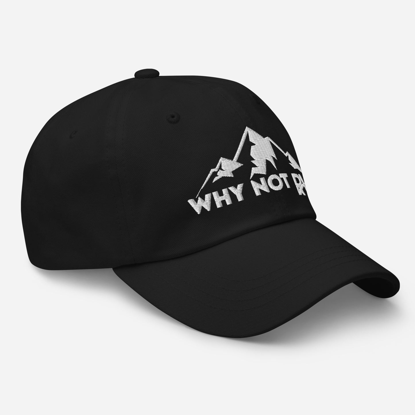 Why Not RV no logo white Dad hat